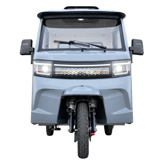 Elektro Dreirad 3000W – Elektrisches Transport-Dreirad mit Kippfunktion und Ladefläche