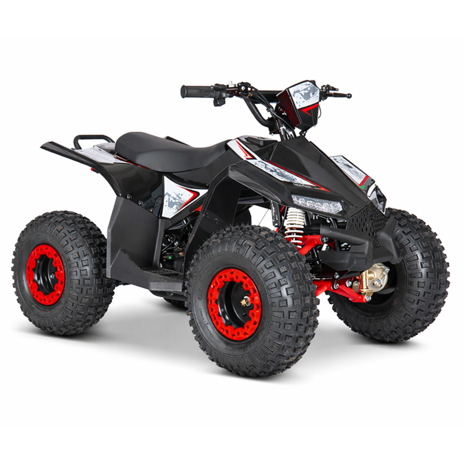 ATV - Midi PRO Sport Quad Jugend-Erwachsenenquad Elektro - 1200 Watt 60V